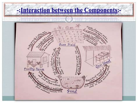 Integrated Farming System Models 的图像结果