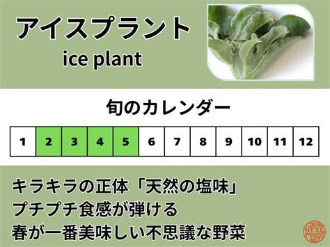 Image result for Guide Card Sample Science Sim