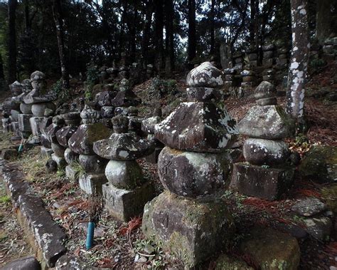 Shorenji Temple (Taragi-machi) - 2022 What to Know Before You Go (with ...