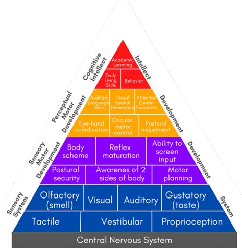 Learning Pyramid Model 的图像结果