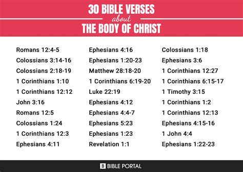 In The Body Of Christ Verse: What It Means For You