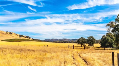 Hotels in Murphys: best places to stay in 2024 |Hotels.com