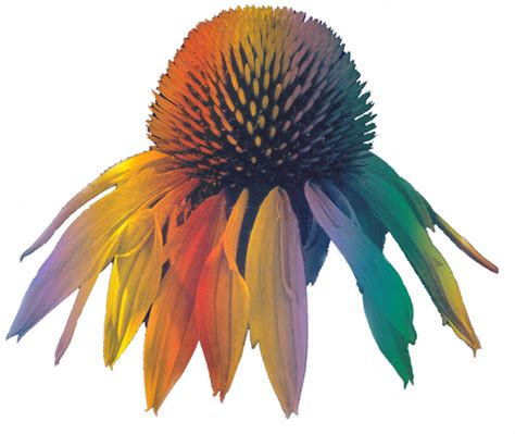 Reliable Health Product Store - Nature's Care