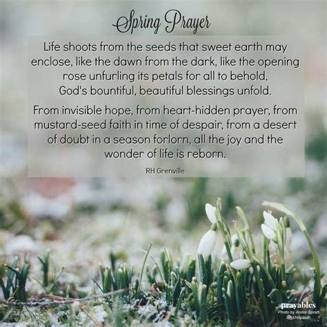 Image result for Reflection Prayer for Spring