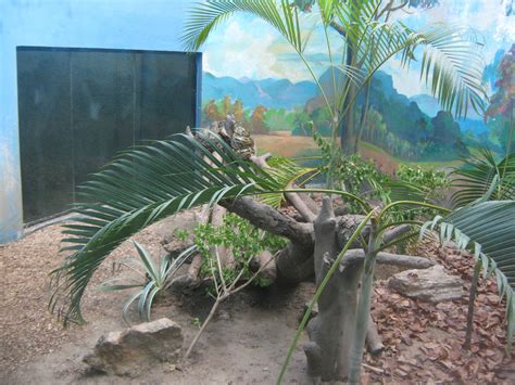 Setting Up Python Enclosure 的图像结果