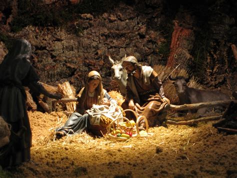 Qué has visto en el pesebre?»