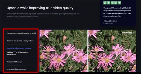 Image result for Topaz Video Enhance AI Tutorial