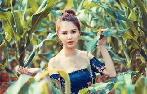 Wallpaper look, face, model, cornfield for mobile and desktop, section ...