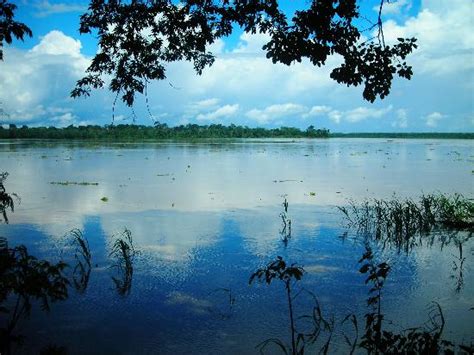 Leticia Photos - Featured Images of Leticia, Amazonas Department ...
