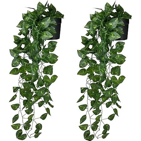 Buy Tdas Artificial Plants Leaves Ivy Garlands Plant Greenery Hanging ...
