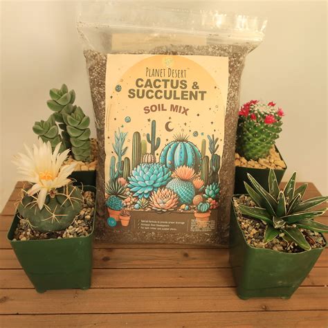Cactus Soil Succulent Soil - The Best Potting Soil Mix For Succulent ...
