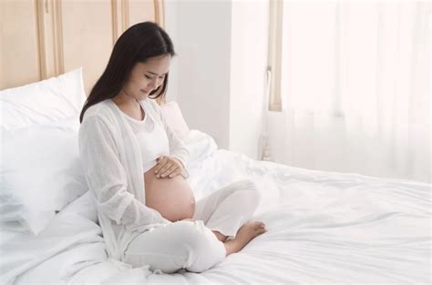 【孕妇六个月胎儿图】【图】孕妇六个月胎儿图 如何培育健康好宝宝(3)_伊秀亲子|yxlady.com