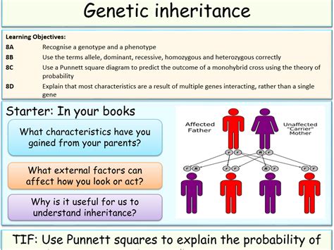 Image result for Difference Between Genetics or Inheritance