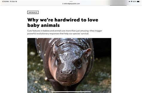 Image result for iPad Mini Pro