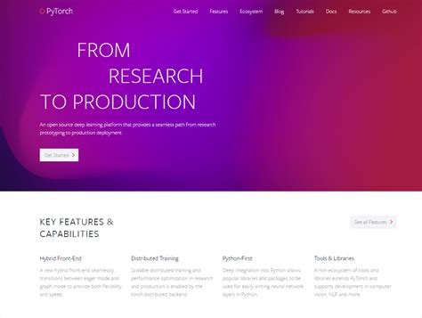 Pytorch Org Tutorial 的图像结果