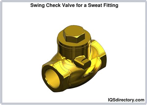 Image result for Spring Loaded Swing Check Valve