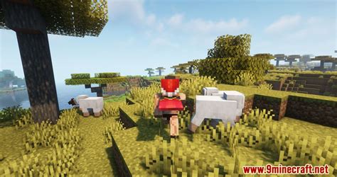 Image result for Minecraft Capes Mod