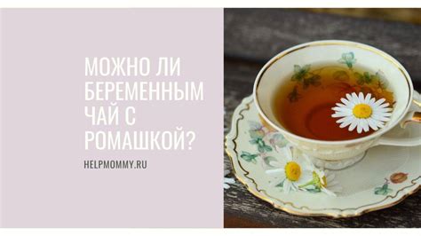 Ромашковый чай при беременности: можно ли его пить беременным