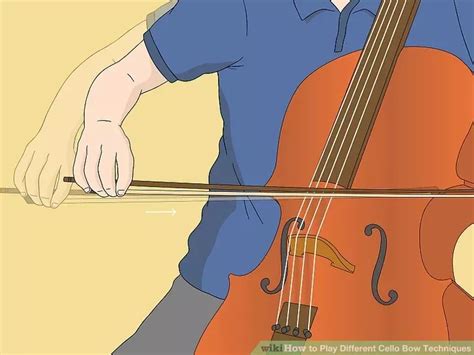 Image result for Cello Basics