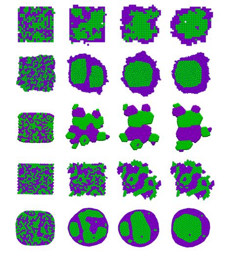 Image result for Adhesion Cell Sorting