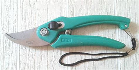 Manshi PRUNNING-04 Tools Manual Pruners, (Pack of 1) : Amazon.in ...