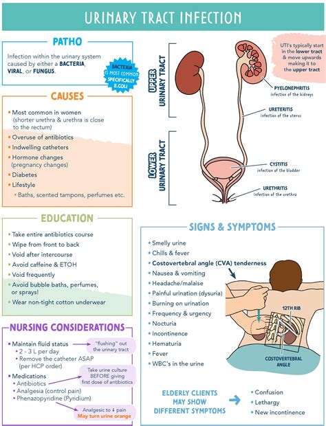 Infection Diagnosis Nursing