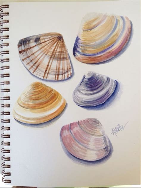 Watercolor Tutorial Seashell 的图像结果