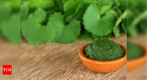 What is Thankuni pata? Why is this a quintessential part of the Bengali ...