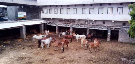 Narsingh Tekri Ashram