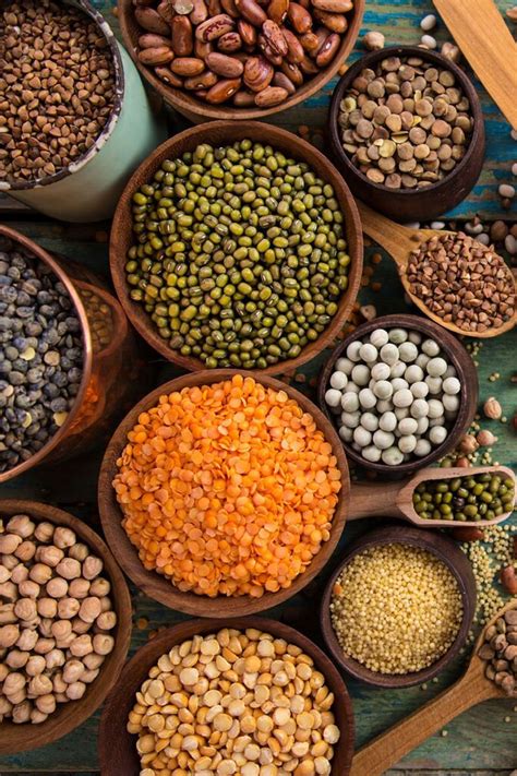 pulses manufacturers in Delhi - rtgroup Pvt Ltd