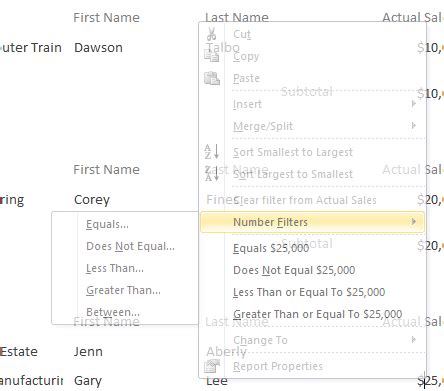 Image result for How to Filter a Report Field Using Access Command