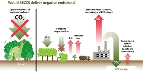 Carbon | Climate Connection