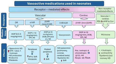 An Update on Pharmacologic Management of Neonatal Hypotension: When ...