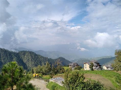 KAUDIA ESTATE (Kanatal) - Hotel Reviews, Photos, Rate Comparison ...