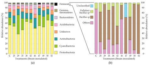 Plant Growth and Microbiota Structural Effects of Rhizobacteria ...