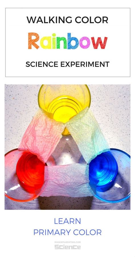 Color Science Experiments for Kids 的图像结果