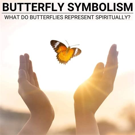 Unlocking The Magic Of Butterfly Symbolism And Spirituality