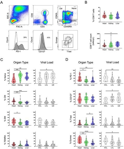 Distinct association between chronic Epstein-Barr virus infection and T cell compartments from ...