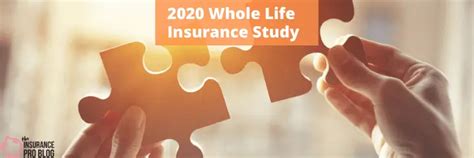 Life Insurance Study Session 的图像结果