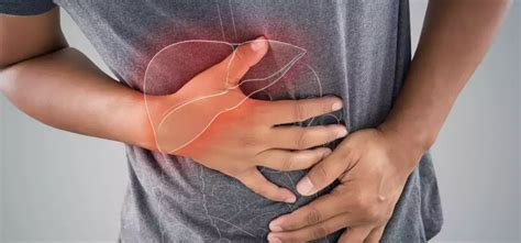 Explained: Elevated Liver Enzymes And End Stage Liver Disease