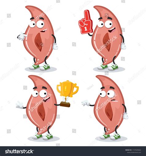 Image result for Muscle Cell Cartoon