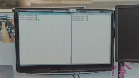 Image result for Linux OS Basics