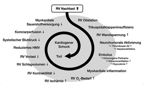 Diagnostik und Therapie der akuten Lungenembolie - Kardiologie ...