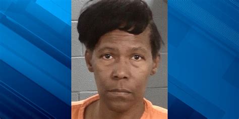 Johnsonville nursing assistant accused of using vulnerable adult’s ...