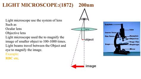 Types of Microscopy 的图像结果