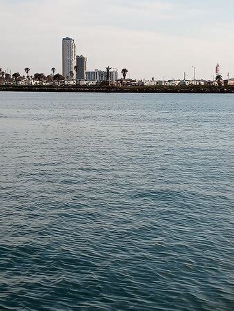 Captain Murphy's Fishing Charters (South Padre Island) - 2022 What to ...