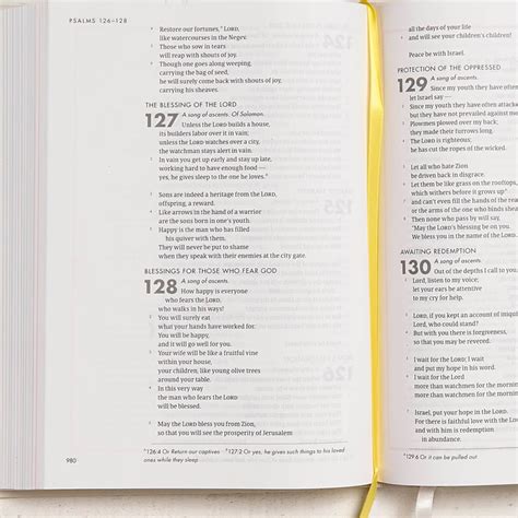 CSB She Reads Truth Bible - B&H Publishing