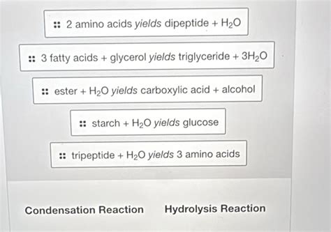 Solved: 2 amino acids yields dipeptide + H_2O 3 fatty acids + glycerol ...
