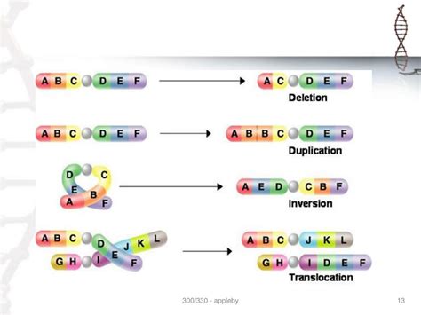 Image result for Patterns of Genetic Inheritance