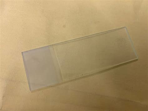 Image result for Microscope Slides Function